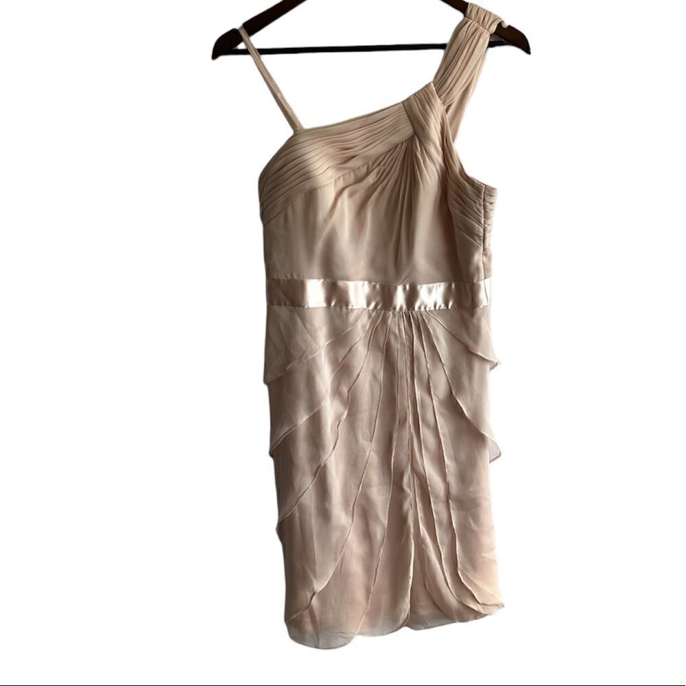 Adrianna Papell Light Pink Cocktail Dress - Picture 2 of 9